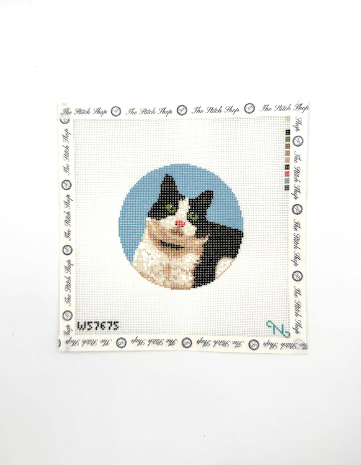 Black and White Cat