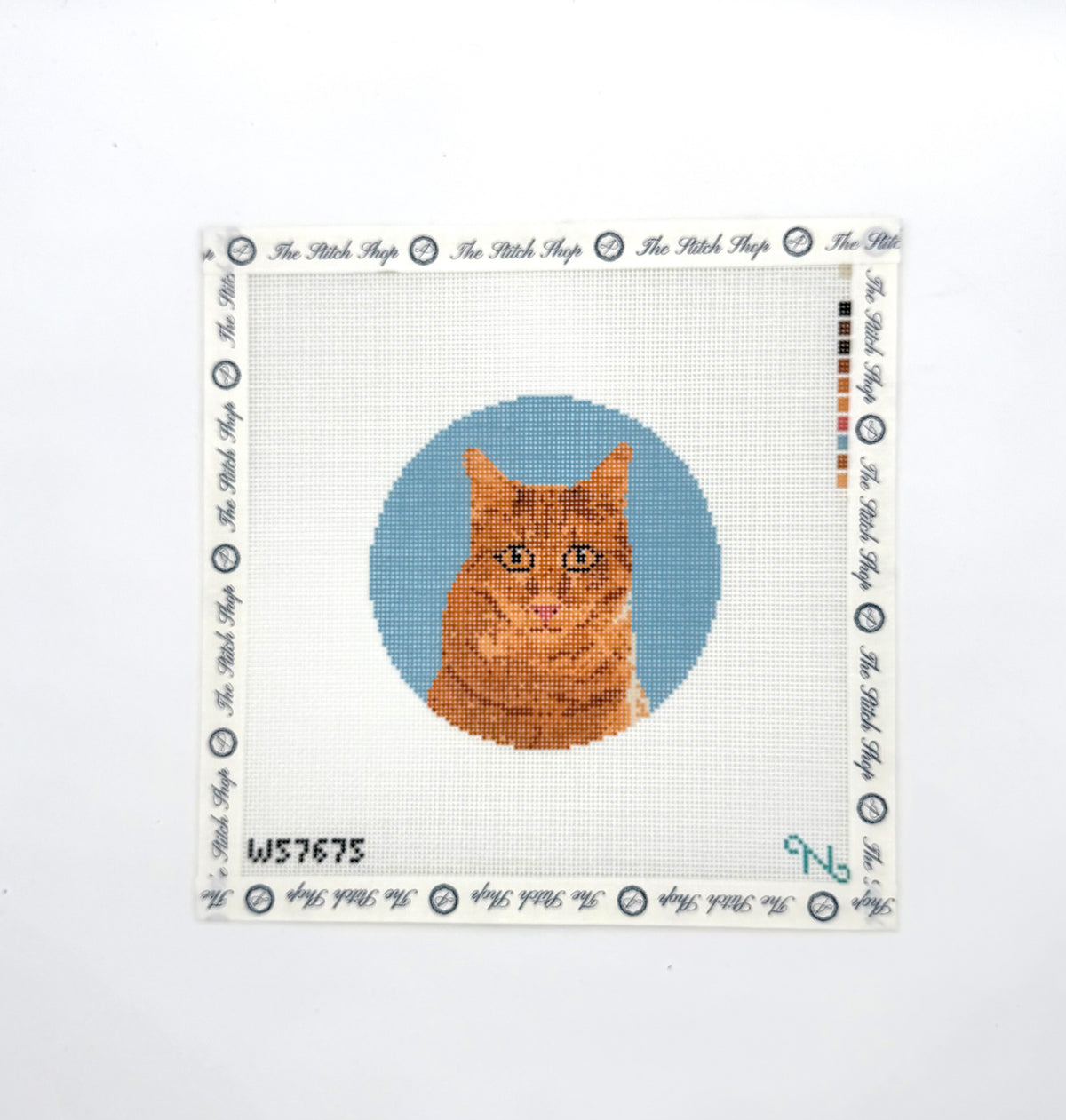 Orange Tabby
