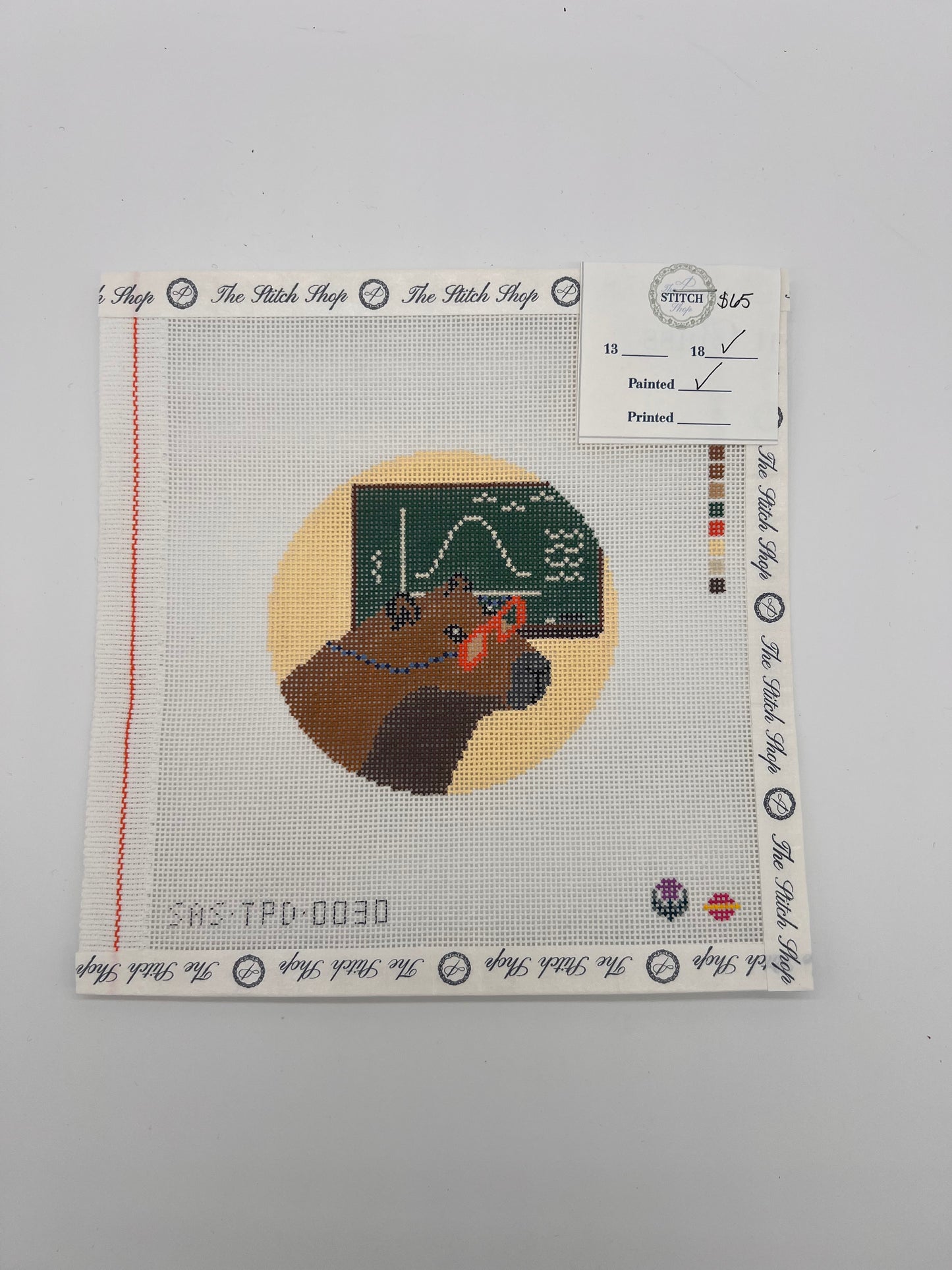 Professsor Capybara Canvas